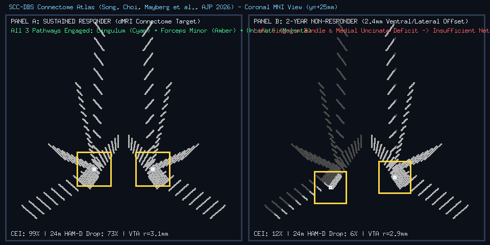 /scc-coronal-vta-comparison.png